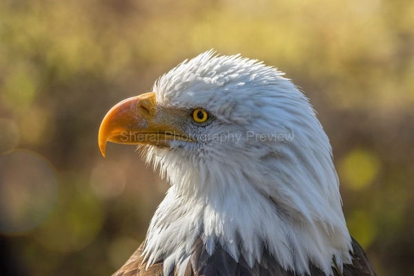 IMG_6741-Edit-Edit
